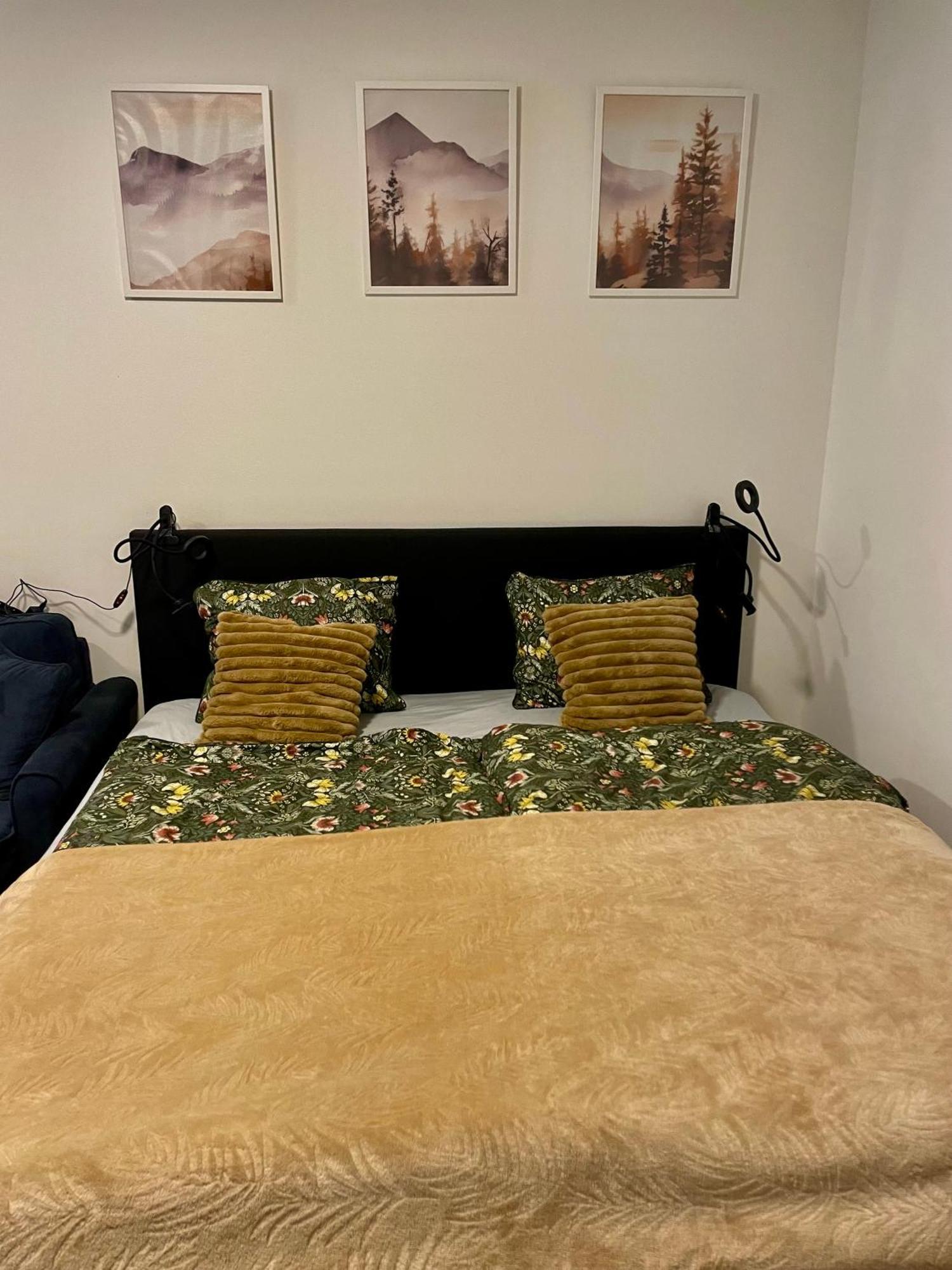 Apartment Navi- Modern Studio In Krkonose Foothills Stare Buky Εξωτερικό φωτογραφία